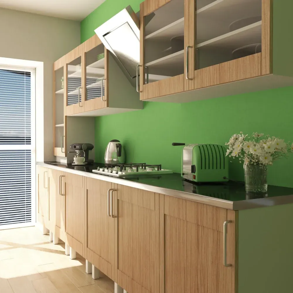 Complementary colour duo in a kitchen